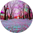 Erika Giardina profile picture